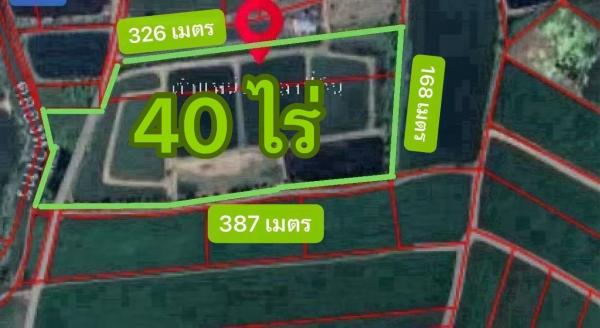 ���ԧ��� �� Nititut