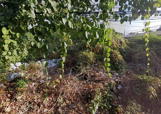 ���Թ�ҧࢹ �� �س�ҹت ���ѷá��