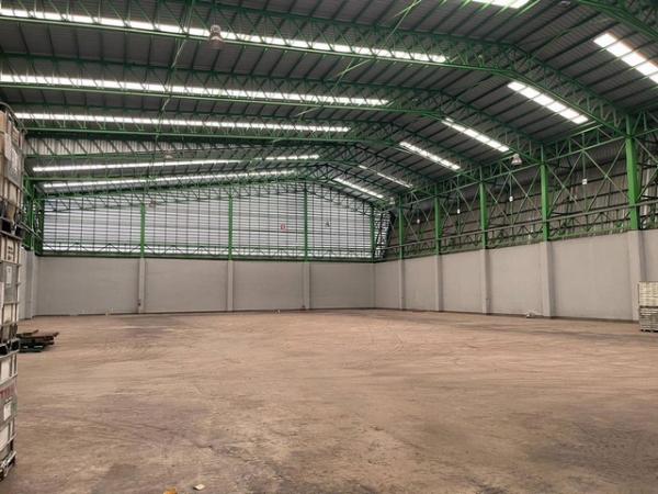 ⡴ѧ���ͧ �� naorinpl