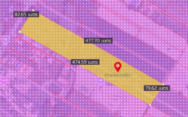 ���Թ 21 ���