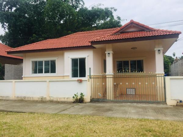 �Ң�ѭ �Ź�����