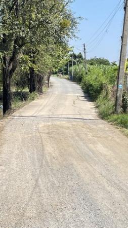 ��¹�û�� �� kulchaya1