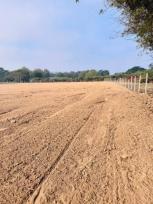 ���Թ ���ͧ