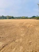 ��� ���Թ ���ͧ��§���� ��§����