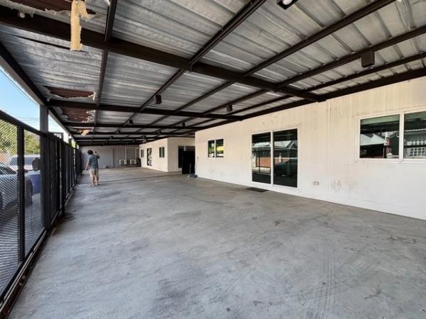 ���⡴ѧ �֧����