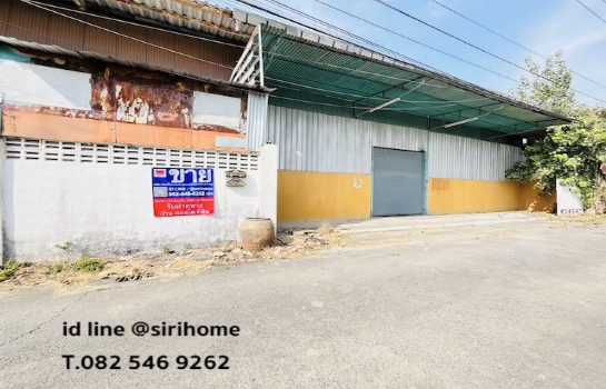 ���⡴ѧ �֧����