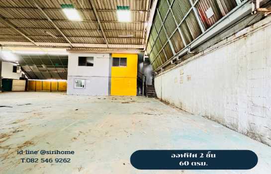 ���⡴ѧ �֧������ا෾