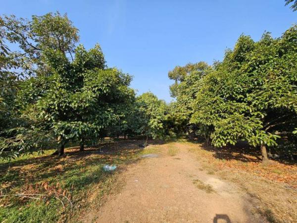 ��ا �� mairudee