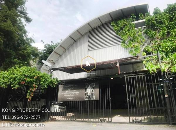 ��觤�� �� Kong property