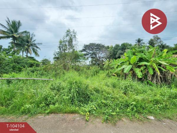 ��ɳ��š �� The Best Property Agent