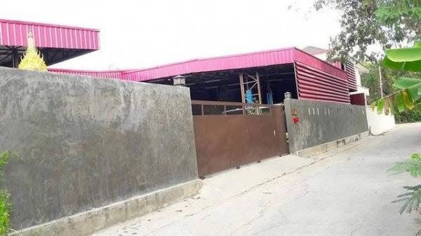 ����Ѳ�� �� coasset22