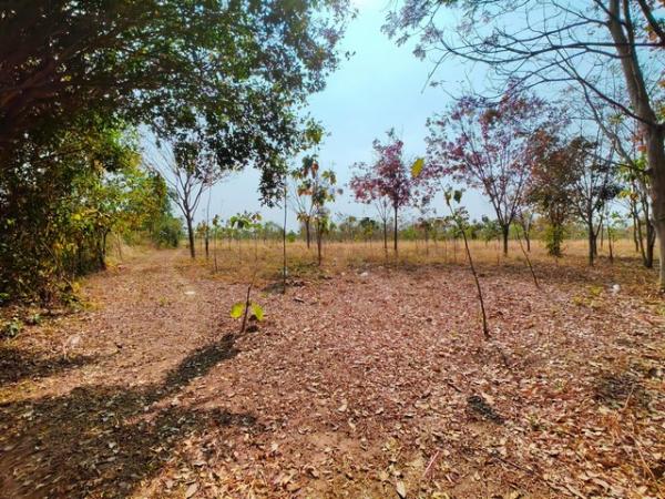 �ŧ��� �� goodlada24