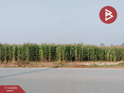 ��ɳ��š �� The Best Property Agent