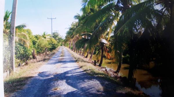 ที่ดิน 42 ไร่ ที่ดิน 42 ไร่