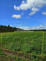 ���Թ ��Թ������ 4,000 ���ҧ��