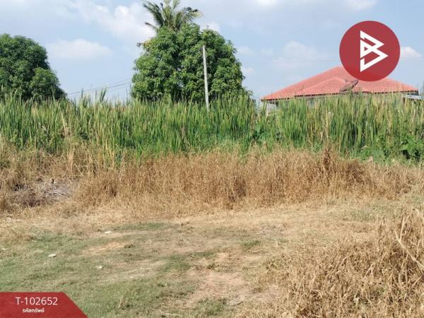 ��ɳ��š �� The Best Property Agent