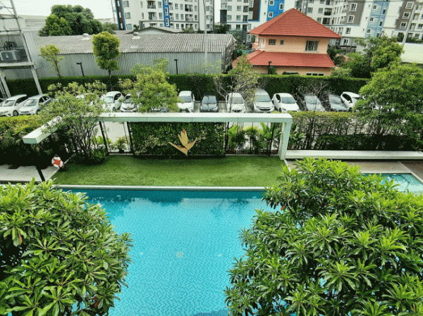 �͹������� �֧����