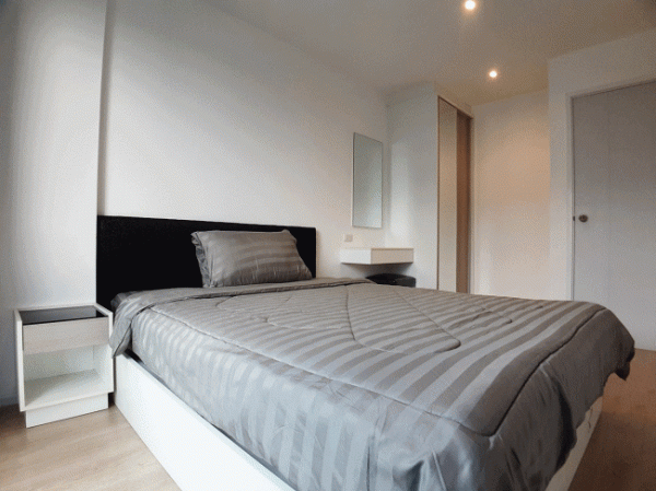 �͹����������ú �֧����