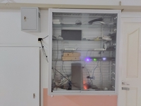 ���;�����鹷� ����֧ �Ҫ����