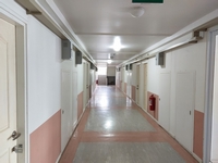 ���;�����鹷� ����֧�Ҫ����