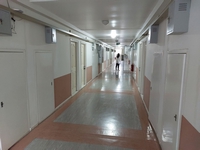 ���;�����鹷� ����֧�Ҫ����