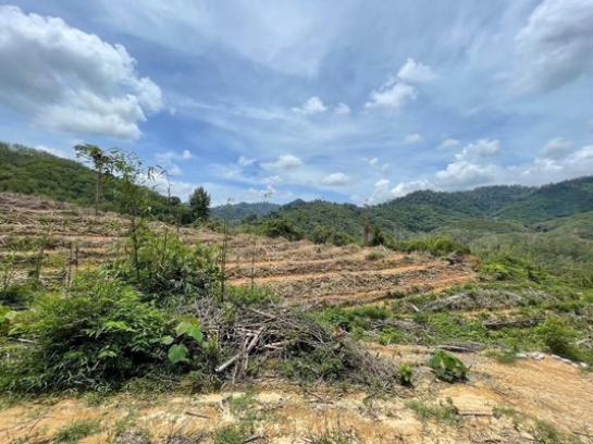 ��·��Թ ີ�����