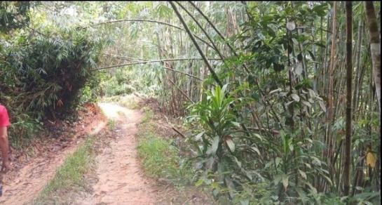 ��·��Թ ີ�����