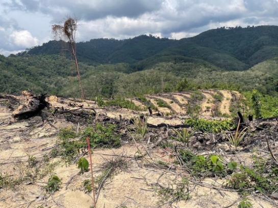 ��·��Թ ີ�����