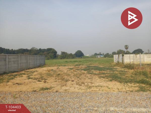 ��û�� �� The Best Property Agent