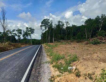 �ѹ����� �� incube