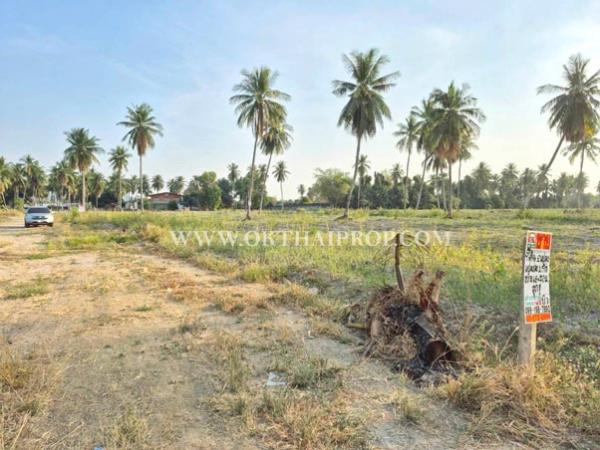 ที่ดิน pattaya ที่ดิน pattaya