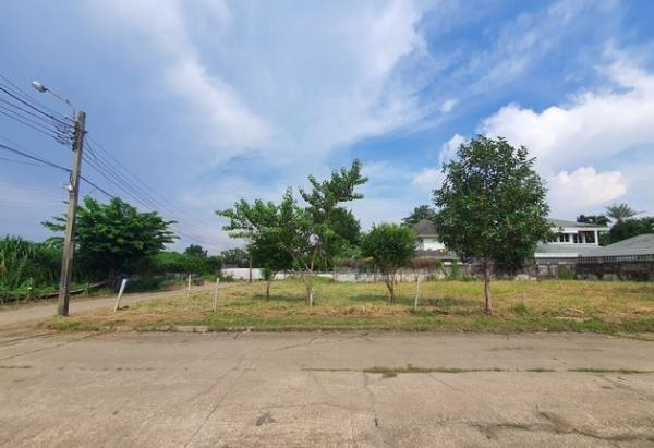 ขายที่ดิน Paradise ขายที่ดิน Paradise