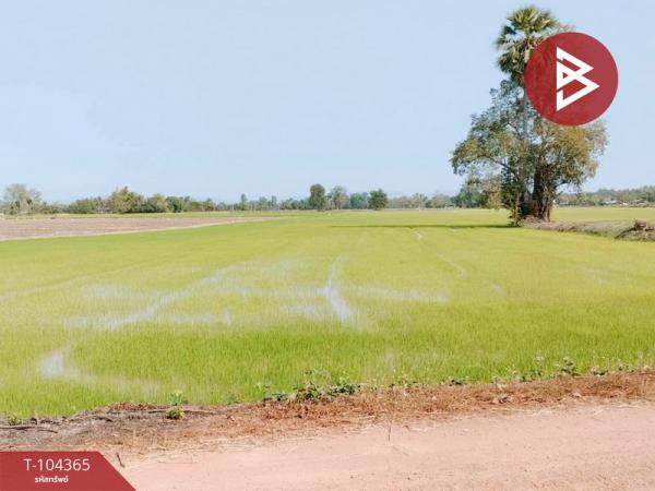 ��ɳ��š �� The Best Property Agent