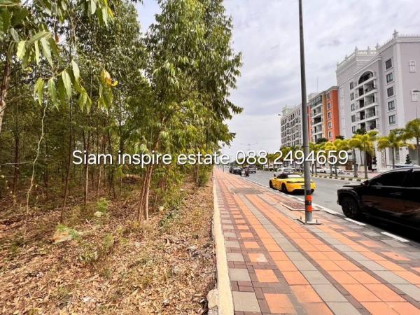 ที่ดิน pattaya ที่ดิน pattaya