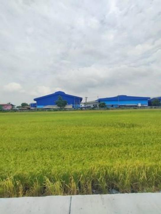 ��ͧ��ǧ �� coasset22