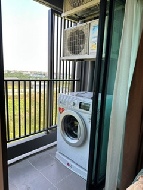 ������ �͹� 31 ���ҧ����