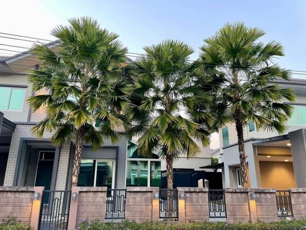 ��� �� Sawasdee