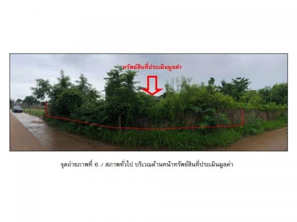 ���Թ���ͧ �� panaya.opalopal