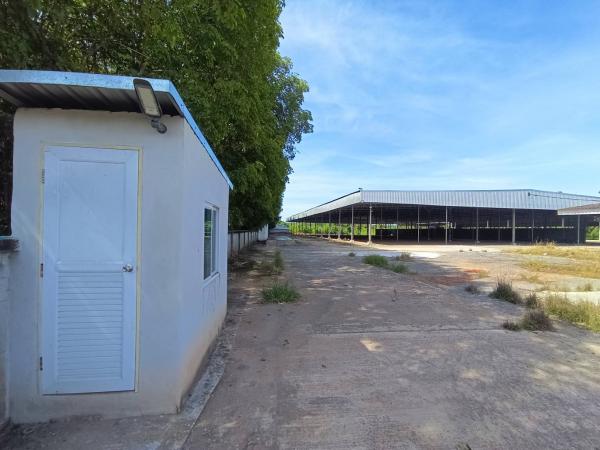 ��áԨ������ �ع�Թ����ɮ��ҹ�