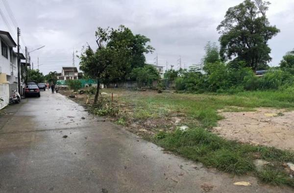 �ѹ���� �� onanong khumaphao