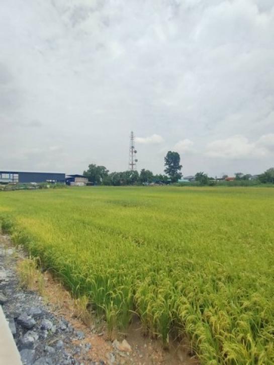 ��ͧ��ǧ �� coasset22