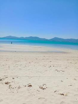 ���ͧ �� incube