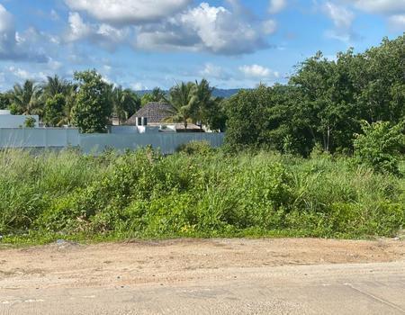 ��ҧ �� incube