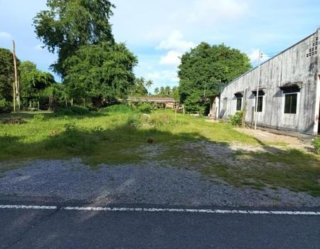 ��ҧ �� incube