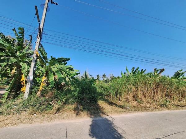 ����Թ �� zionasset1