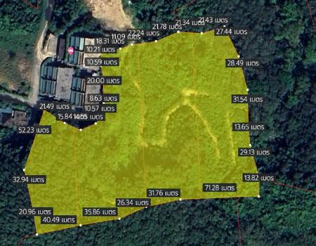 ��ҧ �� incube