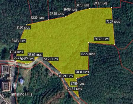 ��ҧ �� incube