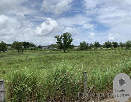 ���Թ������ ���ͧ��������