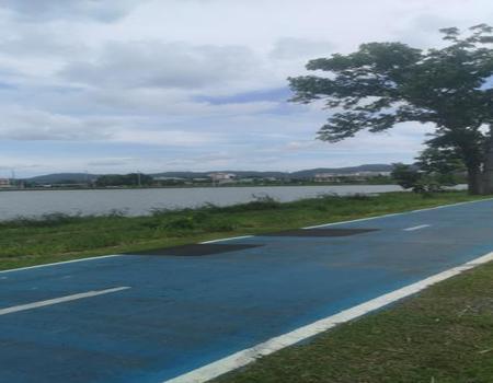 ���ͧ �� incube