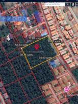 ���Թ ���ͧ 1,187 ���ҧ��